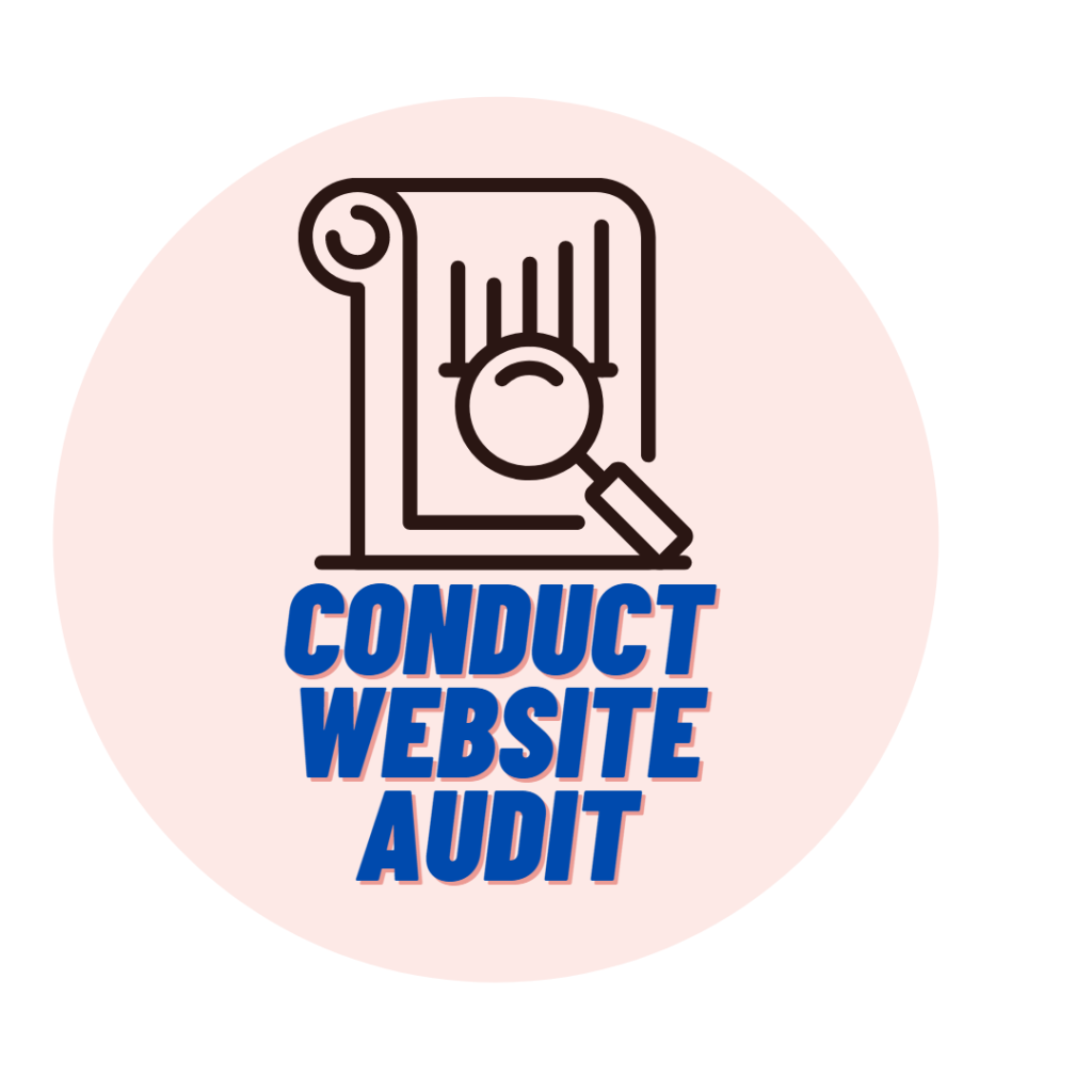 conduct website audit